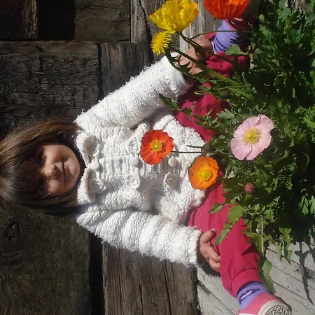 Bait Da Domenin * Livigno